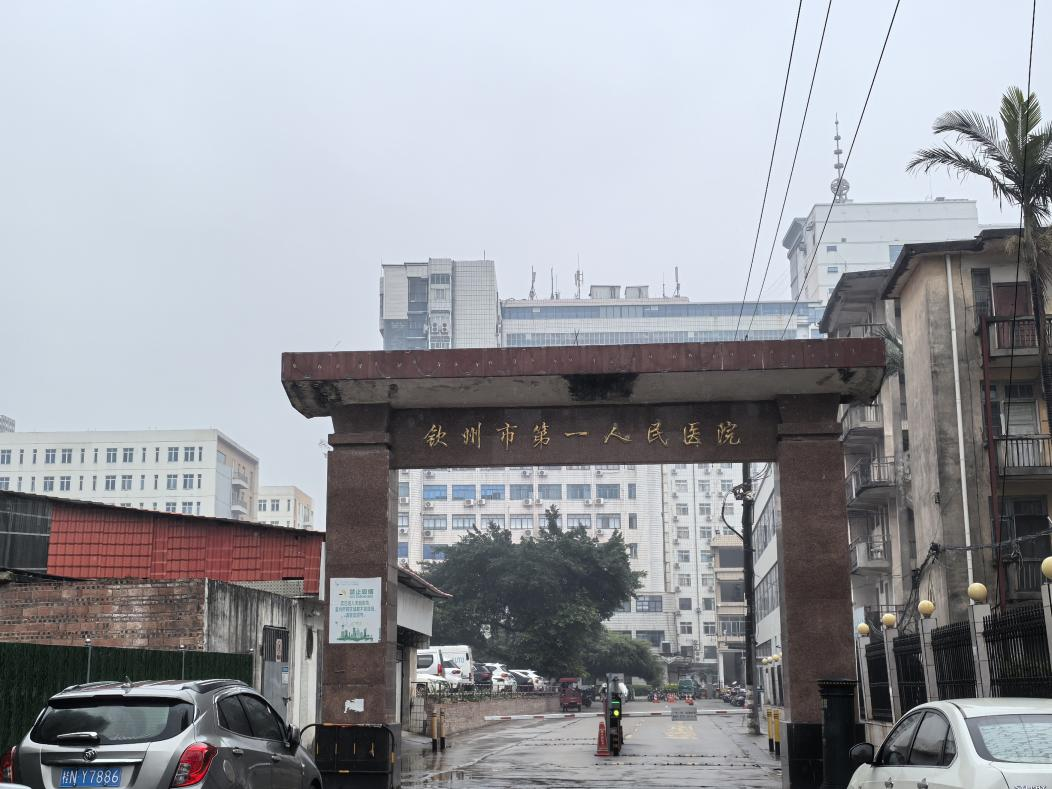 2024新澳门历史记录查询免费