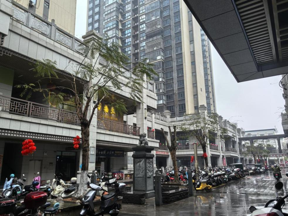 2024新澳门历史记录查询免费