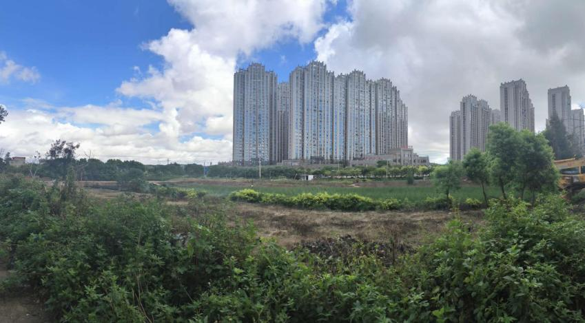 2024新澳门历史记录查询免费